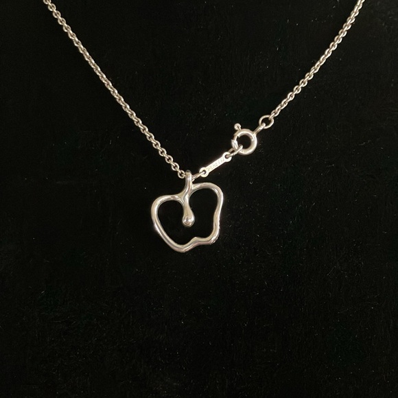 🩵 TIFFANY 🩵 and Co Elsa Peretti Apple pendant on Tiffany SS 16” chain - Picture 4 of 11